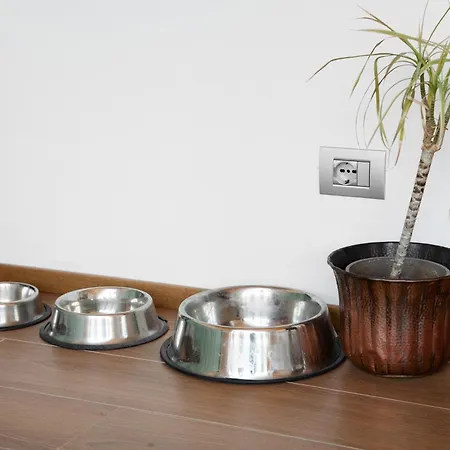 Le Nene - Dolomiti 招待所 皮耶韦迪卡多雷