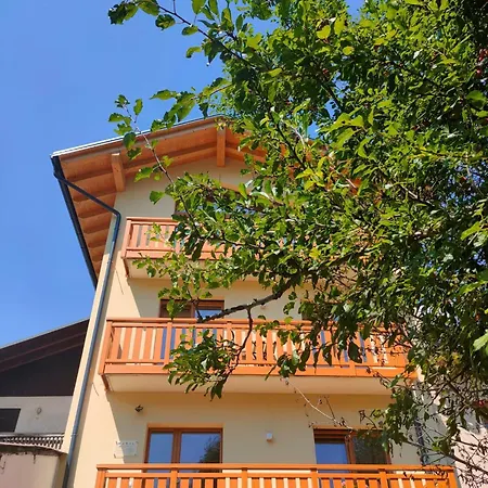 招待所 Le Nene - Dolomiti 3*